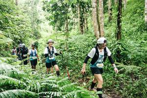 BIB: 
                            <button type="button" onclick="openModal(26369926)" class="btn btn-primary btn-sm float-right btn-popup" data-toggle="modal" data-target=".modal-high-quality">
                        <i class="fas fa-shopping-cart"></i> Add to Cart
                    </button>
                                            <button type="button" onclick="isThisMe(26369926, true)" class="btn btn-success btn-sm float-right btn-popup btn-isme hidden" data-toggle="tooltip" data-placement="bottom" title="นี่คือรูปของคุณใช่ไหม คลิกที่นี่เพื่อเอาเข้าอัลบั้ม">
                        <i class="fas fa-plus"></i> Add to album
                    </button>
                    <button type="button" onclick="isThisMe(26369926, false)" class="btn btn-warning btn-sm float-right btn-popup btn-isnotme hidden">
                        <i class="fas fa-ban"></i> Remove from album
                    </button>